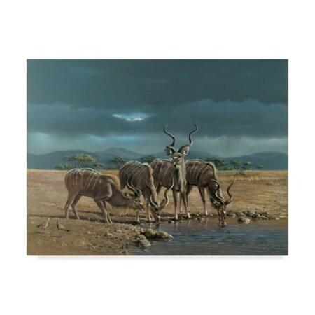 Harro Maass 'Greater Kudus' Canvas Art,35x47
